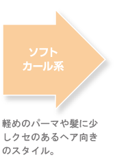 ソフトカール系　軽いパーマや髪に少しクセのあるヘア向きのスタイル。