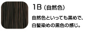 １Ｂ（自然色）