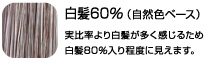 白髪60％（自然色ベース）