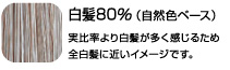 白髪80％（自然色ベース）