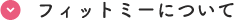 フィットミーについて